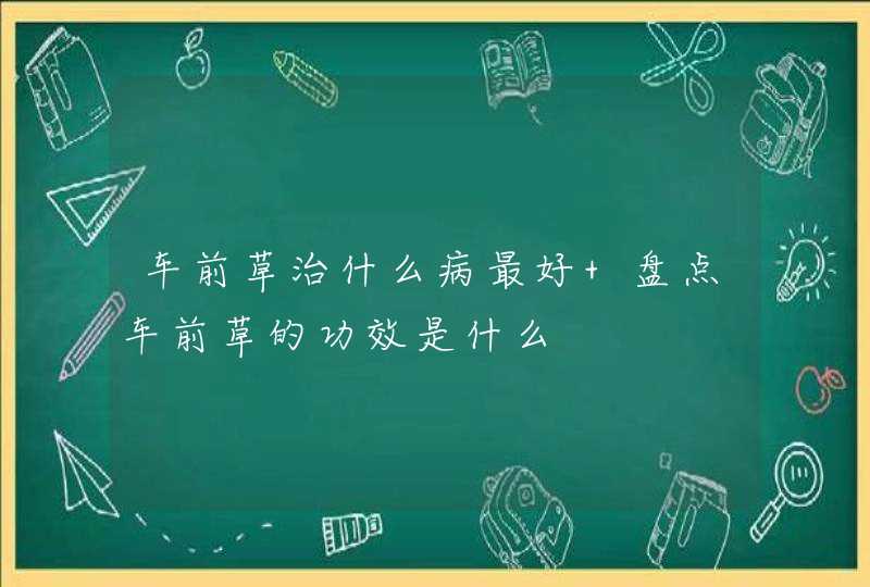 车前草治什么病最好 盘点车前草的功效是什么,第1张