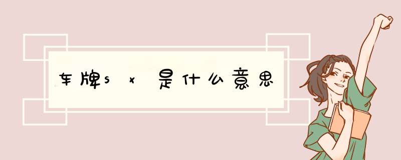 车牌sx是什么意思,第1张