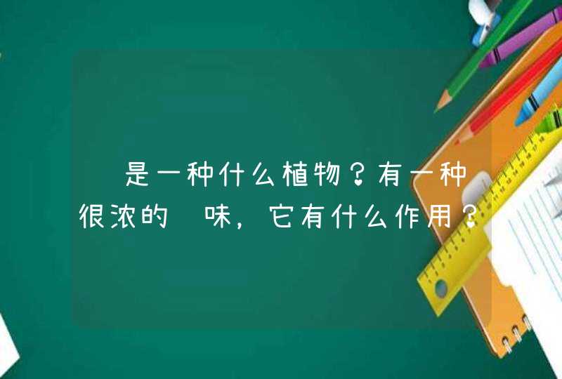 这是一种什么植物？有一种很浓的药味，它有什么作用？,第1张