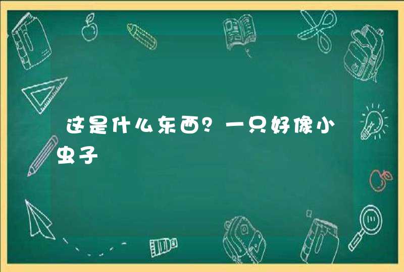 这是什么东西？一只好像小虫子,第1张