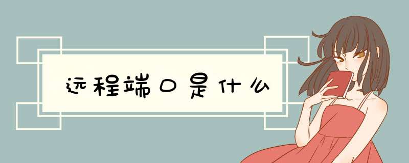 远程端口是什么,第1张