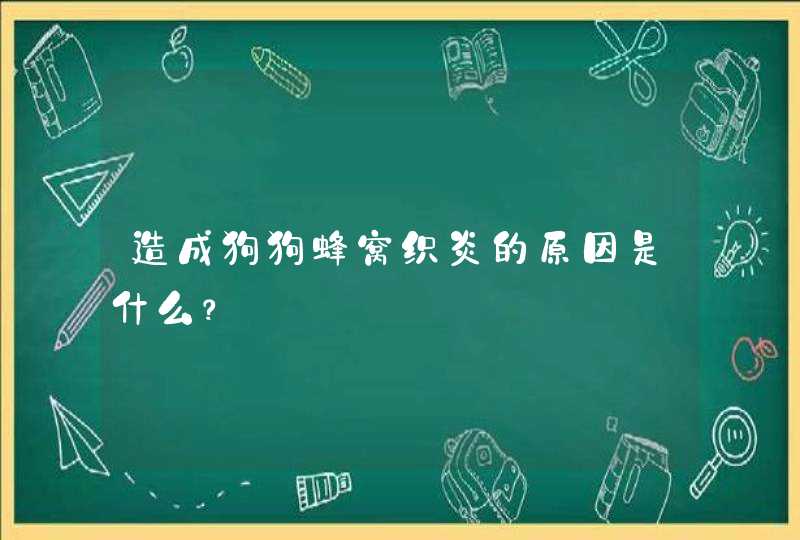 造成狗狗蜂窝织炎的原因是什么？,第1张