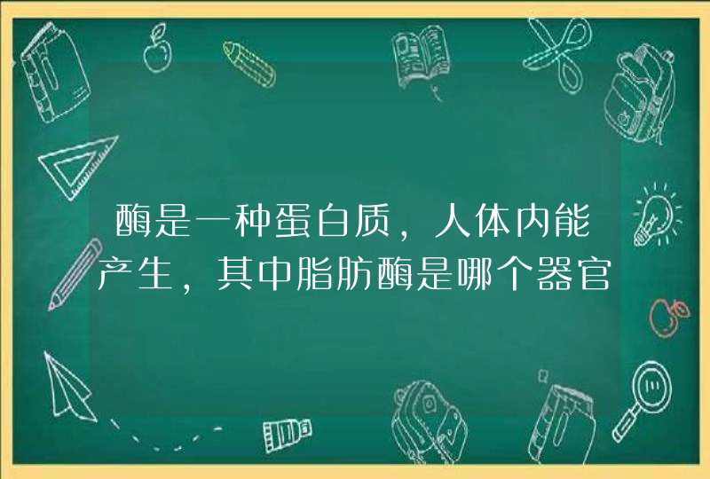 酶是一种蛋白质，人体内能产生，其中脂肪酶是哪个器官分泌的,第1张