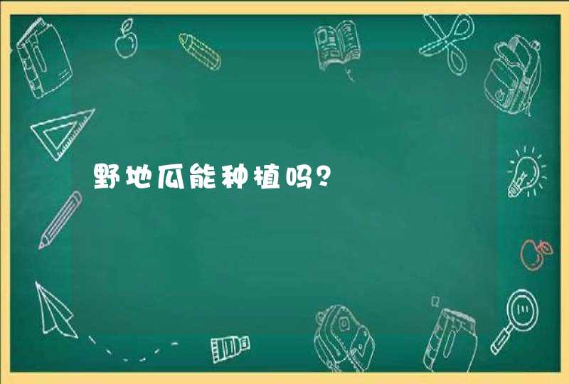 野地瓜能种植吗？,第1张