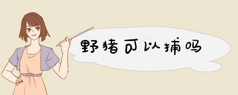 野猪可以捕吗,第1张 野猪可以捕吗,第1张