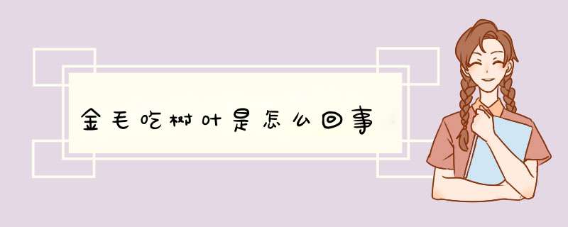 金毛吃树叶是怎么回事,第1张