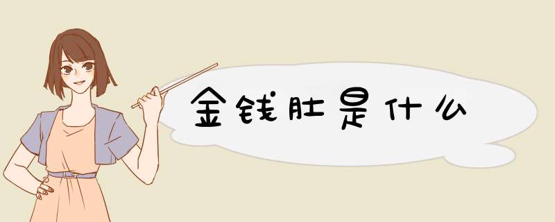 金钱肚是什么,第1张