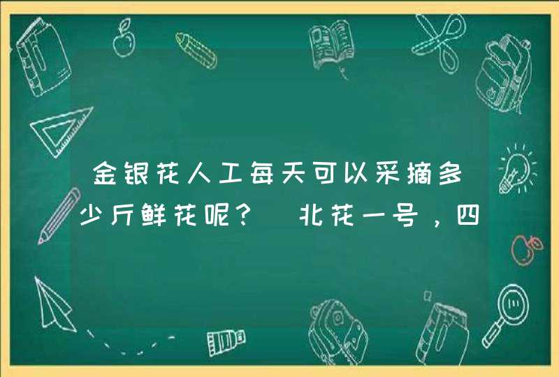 金银花人工每天可以采摘多少斤鲜花呢？（北花一号，四季金银花）,第1张