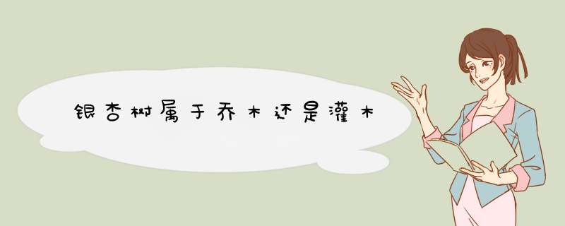 银杏树属于乔木还是灌木,第1张