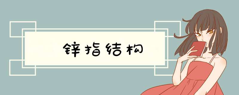 锌指结构,第1张