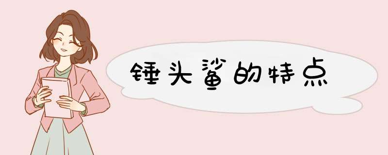锤头鲨的特点,第1张