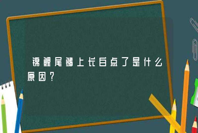 锦鲤尾鳍上长白点了是什么原因？,第1张