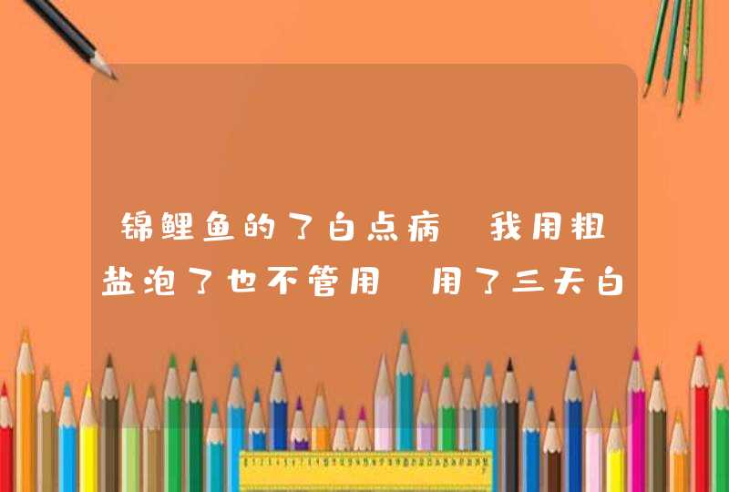 锦鲤鱼的了白点病，我用粗盐泡了也不管用，用了三天白点净，也不管用，该怎么办,第1张