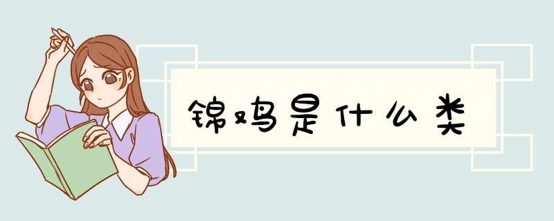 锦鸡是什么类,第1张