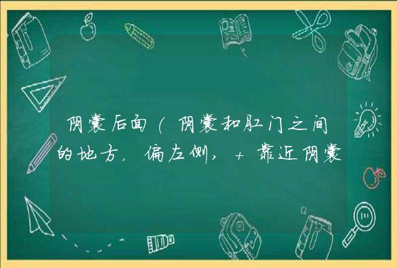 阴囊后面(阴囊和肛门之间的地方，偏左侧, 靠近阴囊) 一阵一阵的隐疼,是怎么回事?,第1张