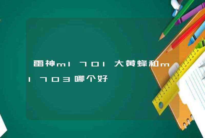 雷神ml701大黄蜂和ml703哪个好,第1张