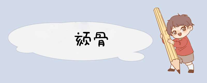 颏骨,第1张 颏骨,第1张