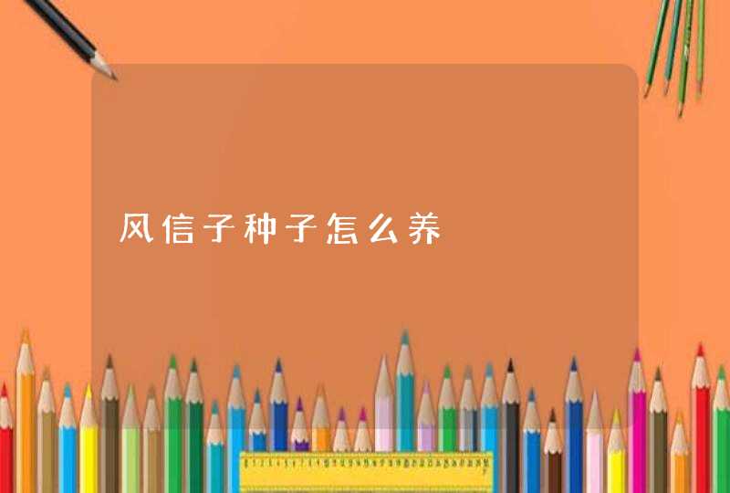 风信子种子怎么养,第1张