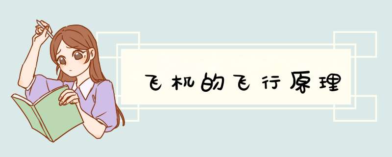飞机的飞行原理,第1张