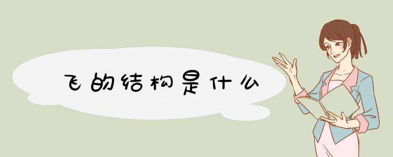 飞的结构是什么,第1张