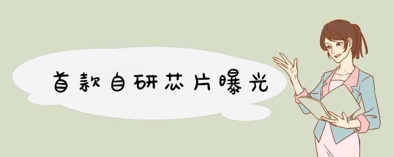 首款自研芯片曝光,第1张 首款自研芯片曝光,第1张