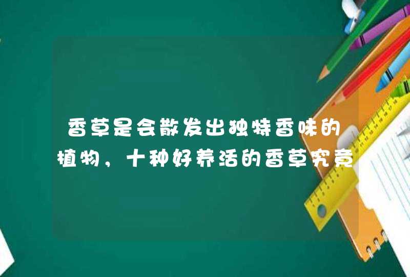 香草是会散发出独特香味的植物，十种好养活的香草究竟都有什么？,第1张