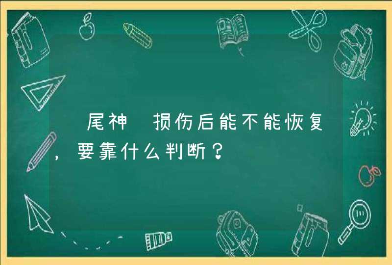 马尾神经损伤后能不能恢复，要靠什么判断？,第1张