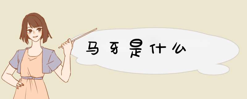 马牙是什么​,第1张