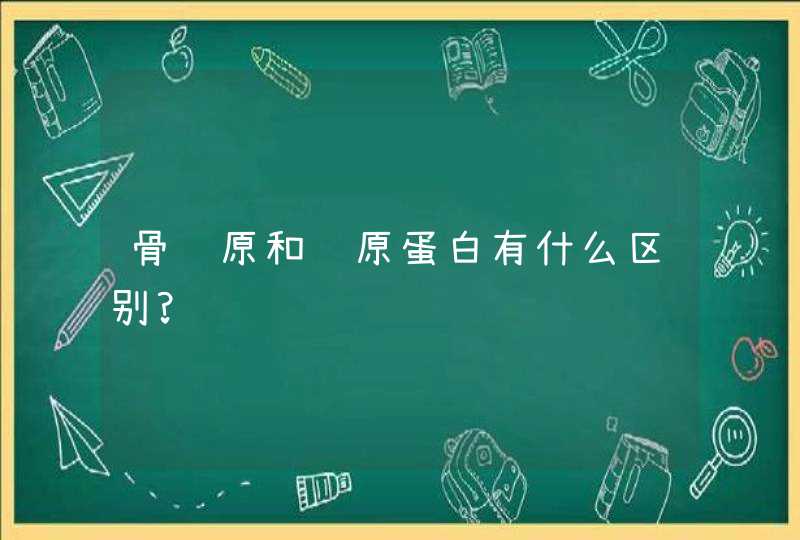 骨胶原和胶原蛋白有什么区别?,第1张