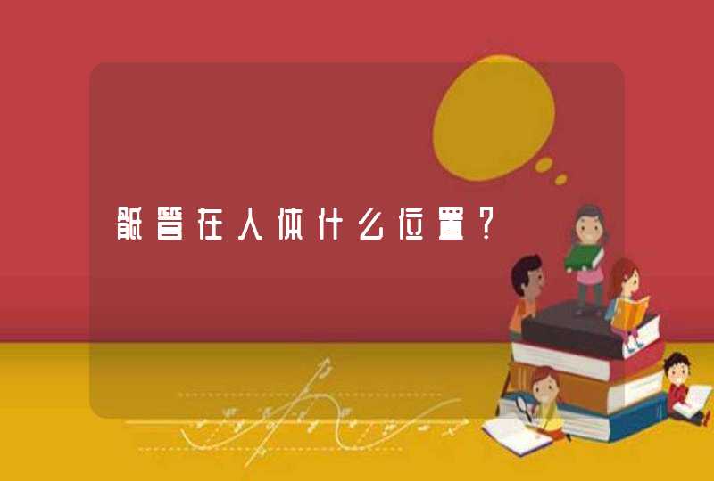 骶管在人体什么位置？,第1张