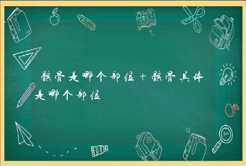 髌骨是哪个部位 髌骨具体是哪个部位,第1张