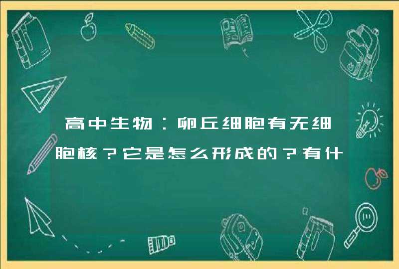 高中生物：卵丘细胞有无细胞核？它是怎么形成的？有什么作用？,第1张