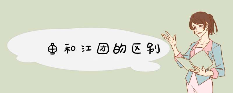 鮰鱼和江团的区别,第1张