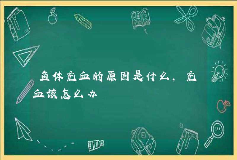 鱼体充血的原因是什么，充血该怎么办,第1张