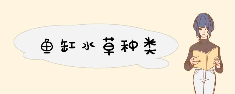 鱼缸水草种类,第1张