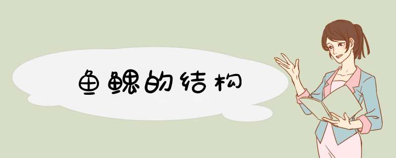 鱼鳃的结构,第1张