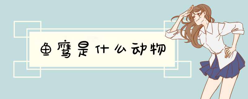 鱼鹰是什么动物,第1张