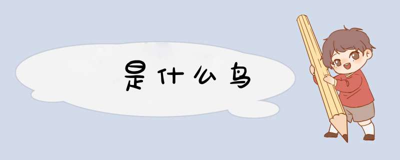 鵀是什么鸟,第1张