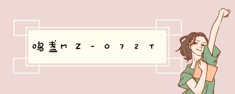 鸣盏MZ-072T,第1张