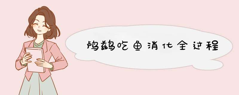 鸬鹚吃鱼消化全过程,第1张