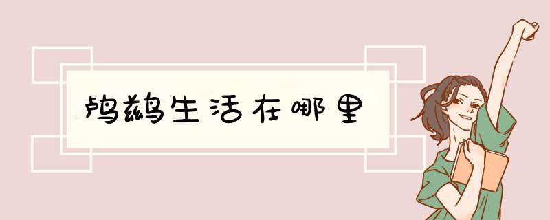 鸬鹚生活在哪里,第1张