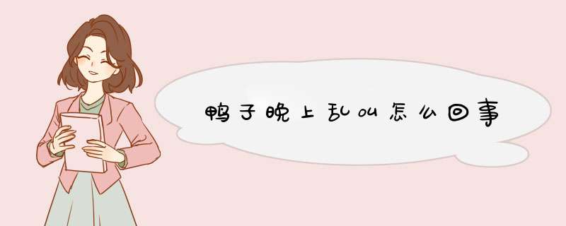 鸭子晚上乱叫怎么回事,第1张