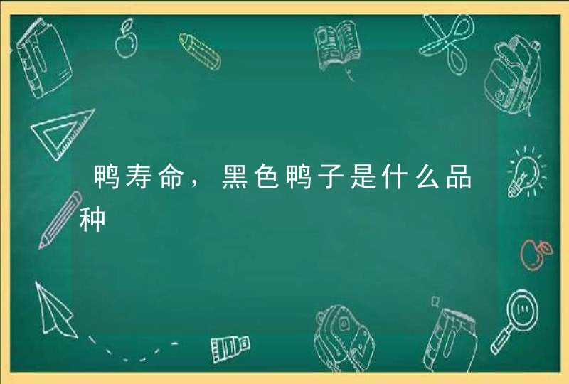 鸭寿命，黑色鸭子是什么品种,第1张