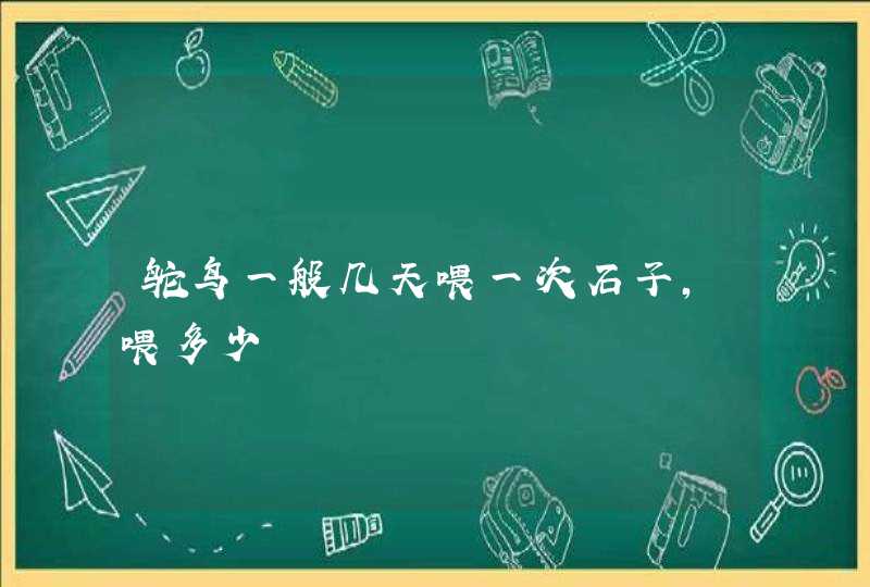 鸵鸟一般几天喂一次石子,喂多少,第1张