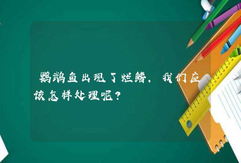 鹦鹉鱼出现了烂鳍，我们应该怎样处理呢？,第1张