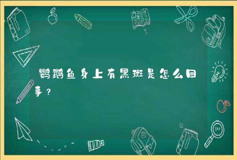 鹦鹉鱼身上有黑斑是怎么回事？,第1张