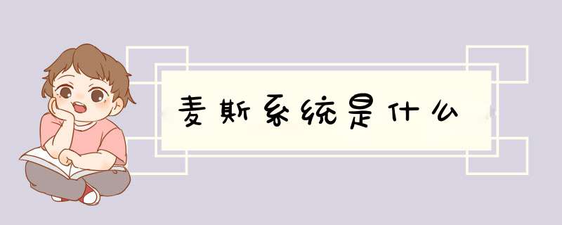 麦斯系统是什么,第1张