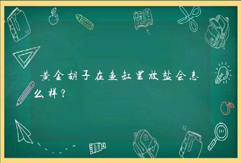 黄金胡子在鱼缸里放盐会怎么样？,第1张