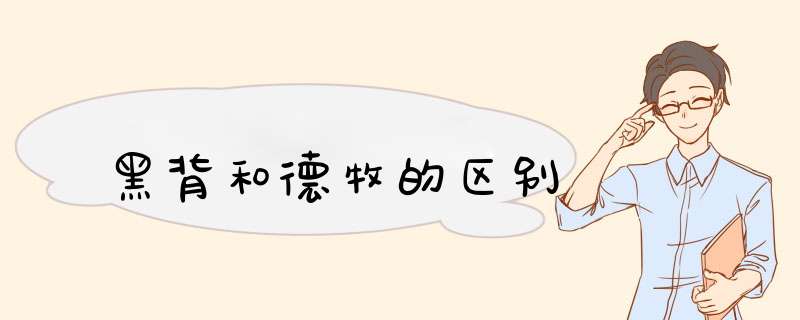 黑背和德牧的区别,第1张