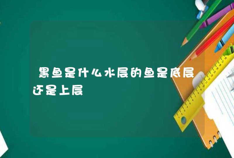 黑鱼是什么水层的鱼是底层还是上层,第1张